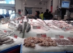 Syney Fish Market
