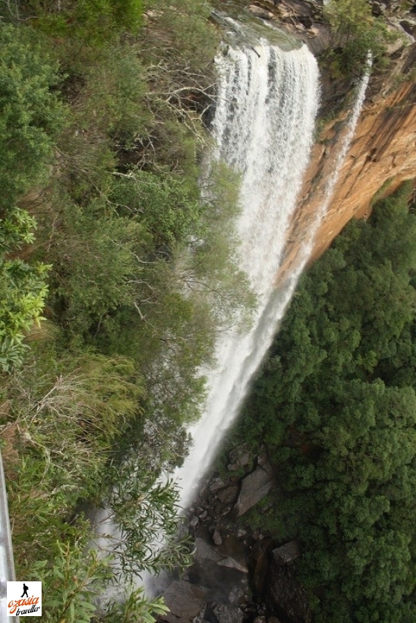 Fitzroy Falls Southern Highlands