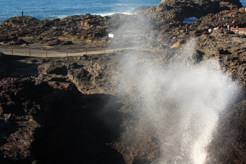 Sydney to Jervis Bay drive - Kiama Blowhole NSW