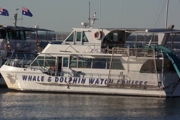 whale Watching Tours Nelson bay nsw