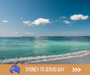 Sydney to Jervis Bay Road Trip