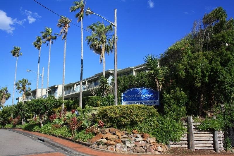 avoca palms resort 