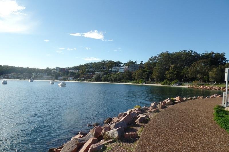 Book a dolphin tour in Neslon Bay nsw