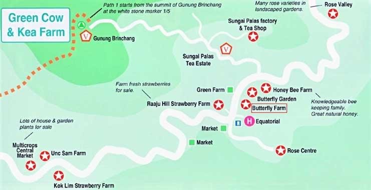 map of cameron highlands