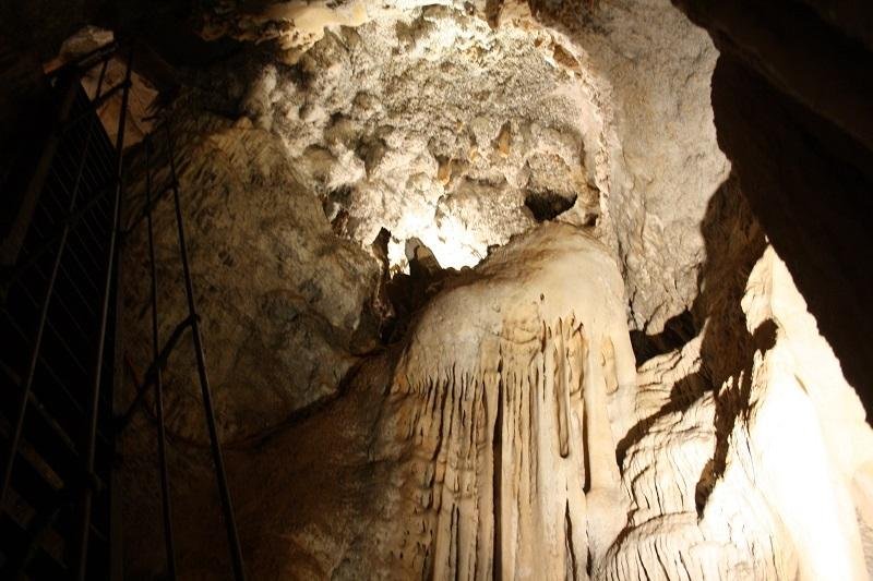 wombeyan cave tours