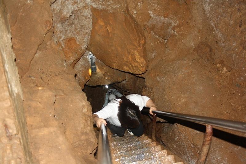 wombeyan cave tours