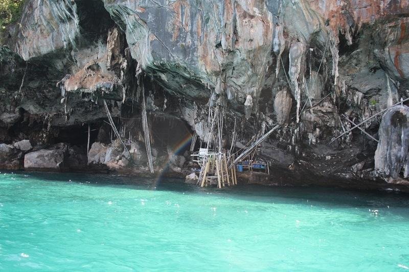 birds nest at phi phi 