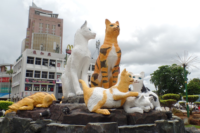cats in kuching Sarawak
