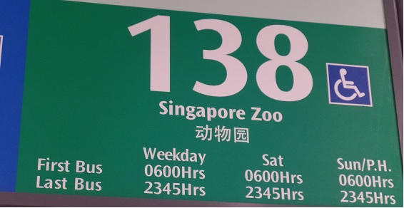 138 bus ride to singapore zoo 