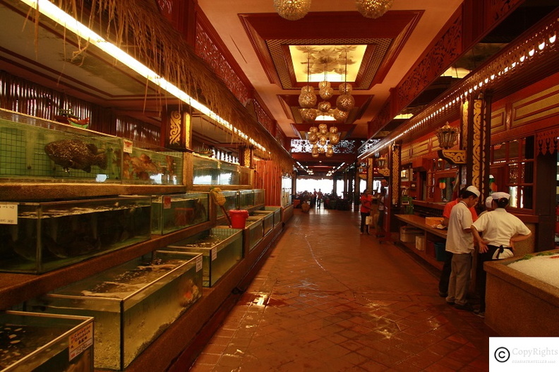 Popular Seafood Restaurant in Batu Ferringhi