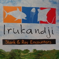 Shark and Stingray entounters at Irukandji