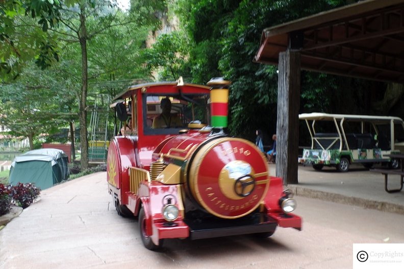 A train ride through the park is a great way to enjoy most of the location in the park. 