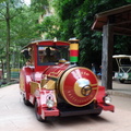 A train ride through the park is a great way to enjoy most of the location in the park. 