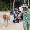 Get up and close with many animals at the Park