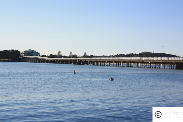 Bridge Connecting Forster with Tuncurry