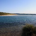 Forster Waterfront