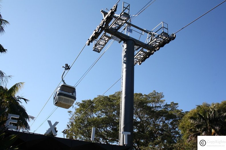Only Chairlift in Sydney at Toronga Zoo :  Buy Toronga Zoo Ferry Ticket