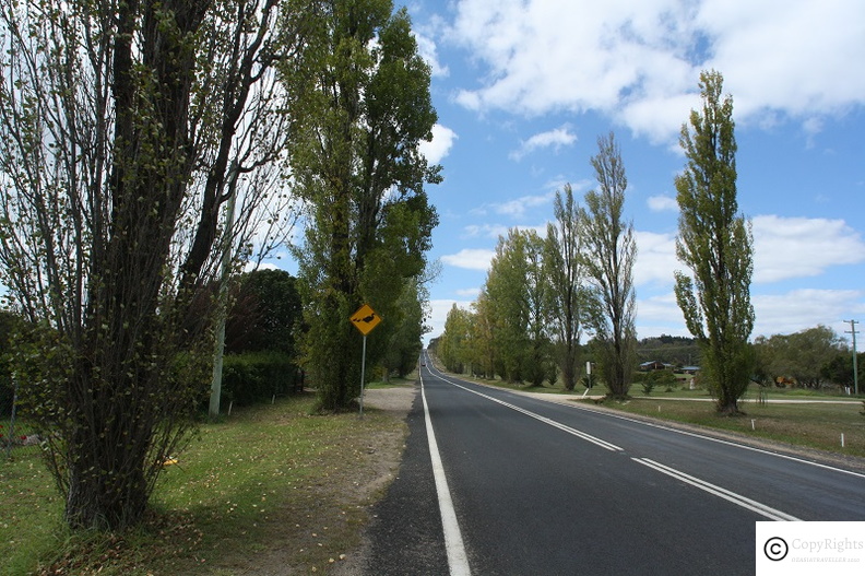 Road from Armidale to Coffs Harbour