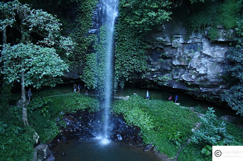 Waterfall at Dorrigo National Park