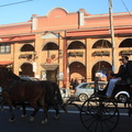 Enjoy cart ride at Historic City of Berry near Kiama
