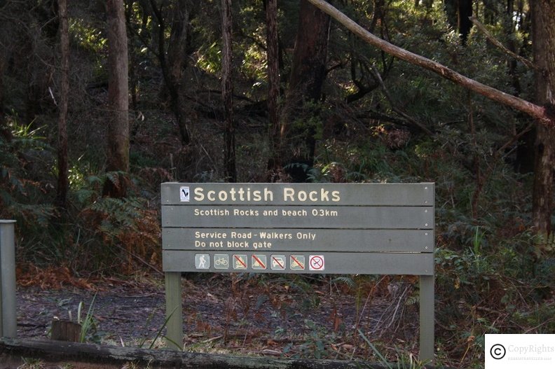 south25