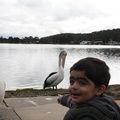 Musa at Lake Birrell NSW