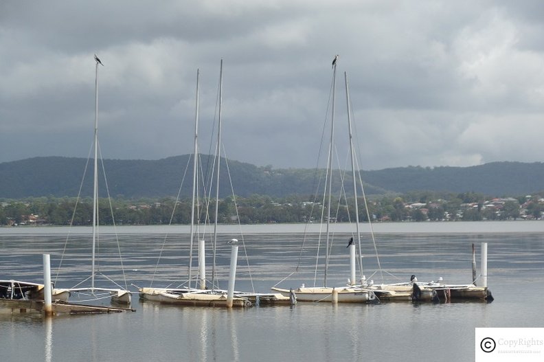 Lake Tuggerah, NSW