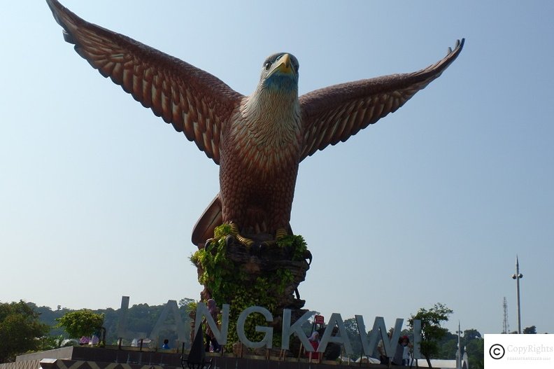 Langkawi Eagle near Kuah Village