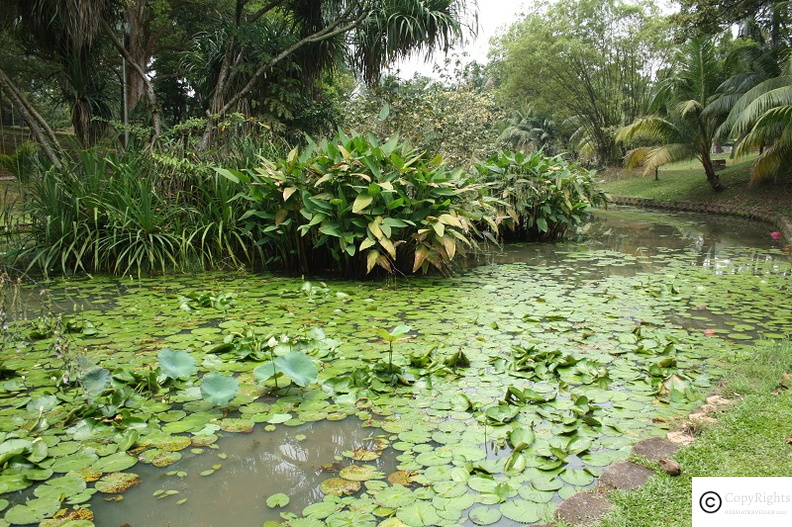 Botanic Gardens in Kuala Lumpur