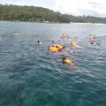 V are Family are Best Tour Operators in Phuket 