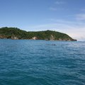 Dolpins in the ocean on the way from Phi Phi