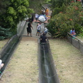 Going down the steep hill is definitely the highlight of the trip to Jamberoo Park