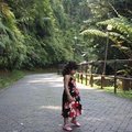 Walking up from car park to the Japanese Garden