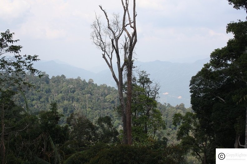 Beautiful view of Berjaya Hills from Japanese Garden