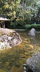 Beautiful Ponds filled with water at Japanese Garden in Berjaya Hills