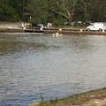 Red Cedar Picnic Area in Royal National Park NSW