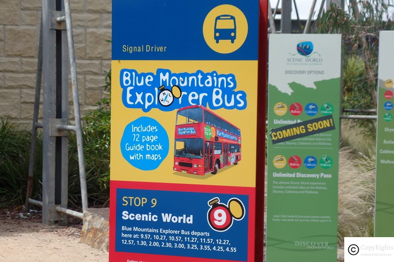 Caching Blue Explorer Bus in Blue Mountains