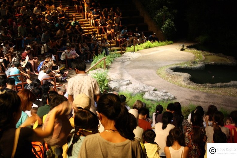 A show during Night Safari in Singapore