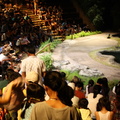 A show during Night Safari in Singapore