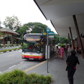 Catching a Bus to Singapore Zoo 