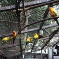 Mini Zoo at Menara KL