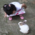 Rijj feeding the rabbit at Kl Zoo