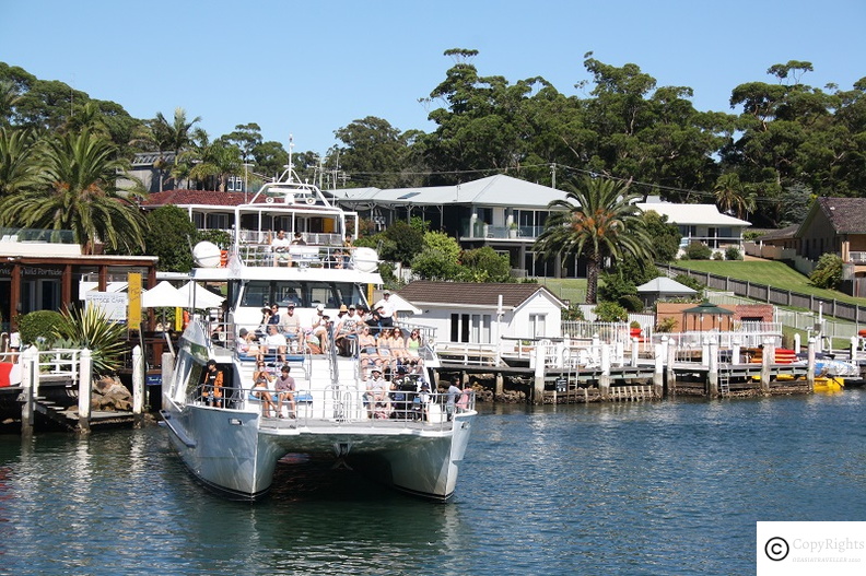 A Dolphin Watching Cruise at Huskisson Area