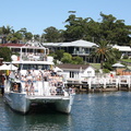 A Dolphin Watching Cruise at Huskisson Area