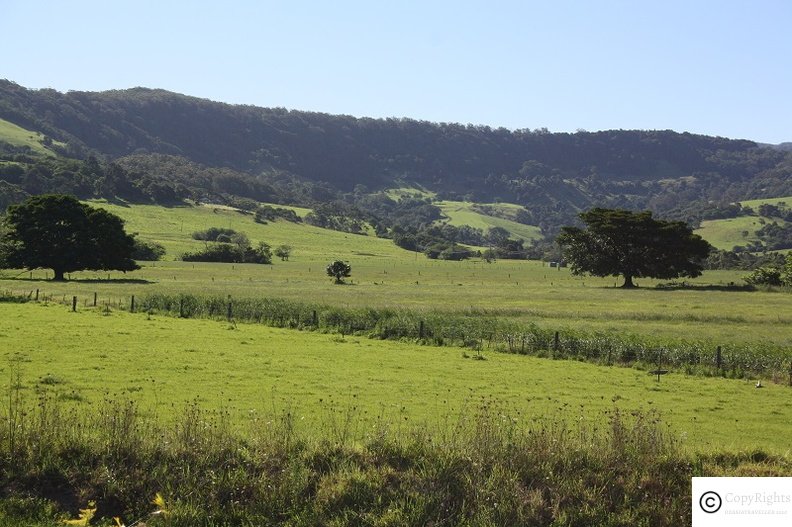 Rolling Hills between Wollongong and Kiama