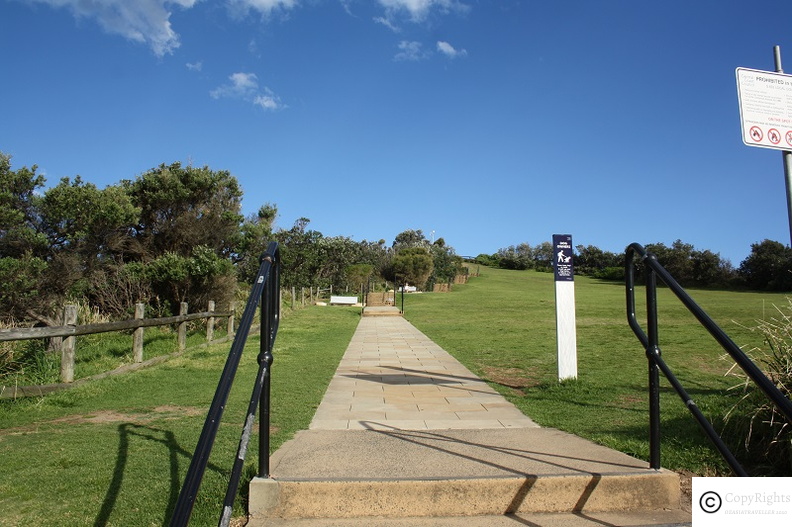Beautiful Walk to the top of the Hill near Terrigal Waterfront NSW