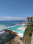 Bondi Icebergs at Bondi 