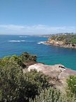 Beautiful coastal views from Clovelly NSW