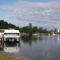 Forster Waterfront is popular for Dolphin and Whale Watching cruises